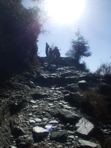 The mountain path